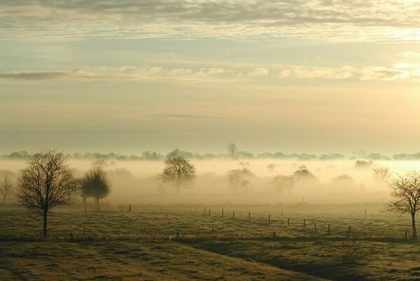 Autumn foggy cold morning