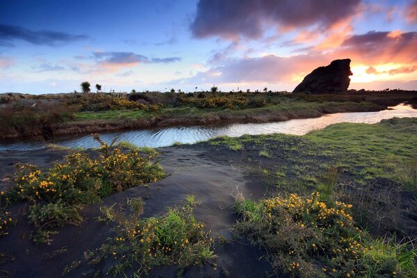 Grasbewachsene Küste. Felsen im Hintergrund des Sonnenuntergangs