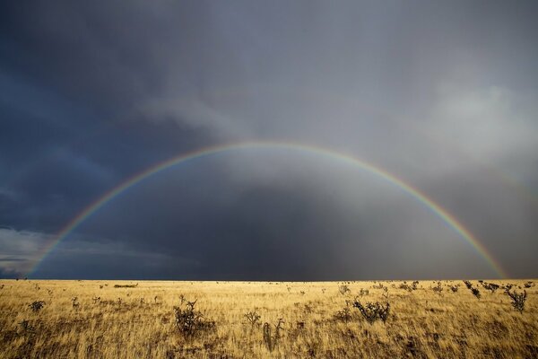 Arco iris sobre un campo de hierba en nuevo México