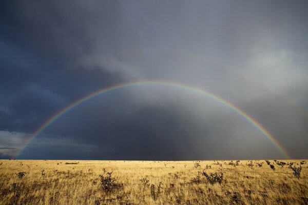 Arcobaleno su un campo di erba nel New Mexico