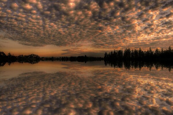 Reflejo de árboles y nubes en el lago