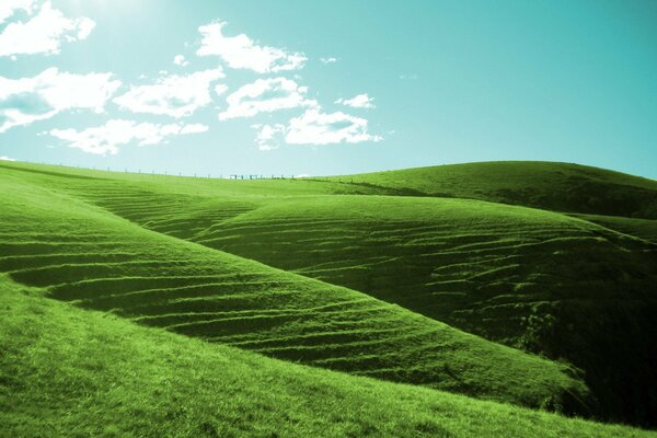 Green hills and blue sky