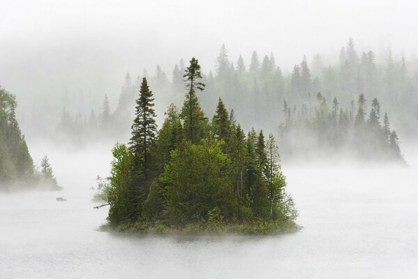 Île de la forêt verte dans le brouillard