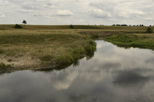 Río de campo en un día de verano