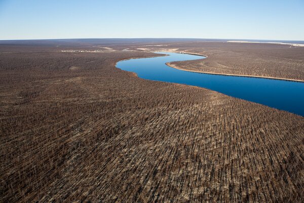 Forest and river from a bird s-eye view