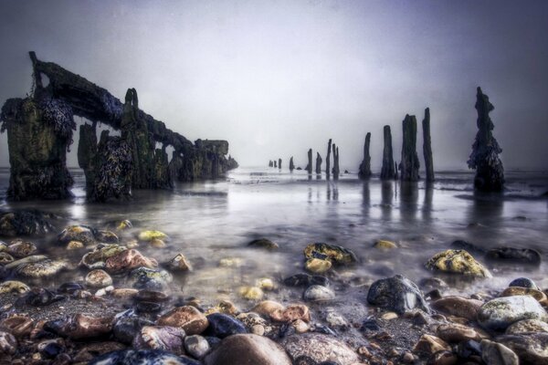 Sea, stone forest. Reflection of loneliness