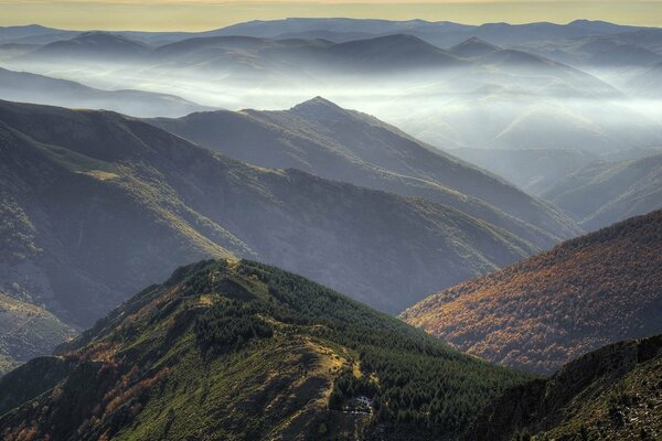 Colline boscose inondate di nebbia