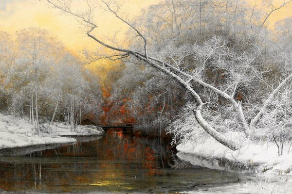 Snow-covered trees along a frozen river