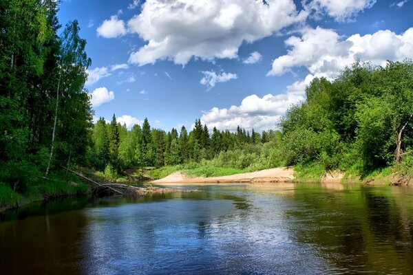 Landscape- a river and trees standing near it