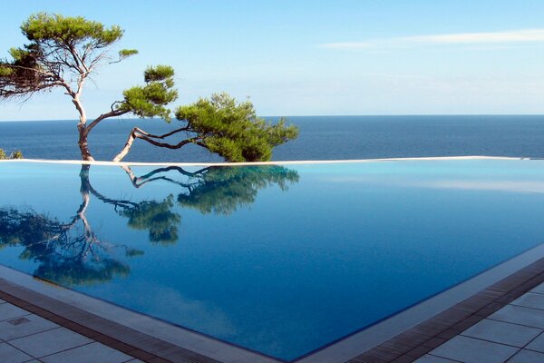 Swimming pool with sea and tree view