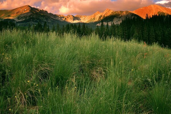 Fluffy clouds over mountains in Colorado