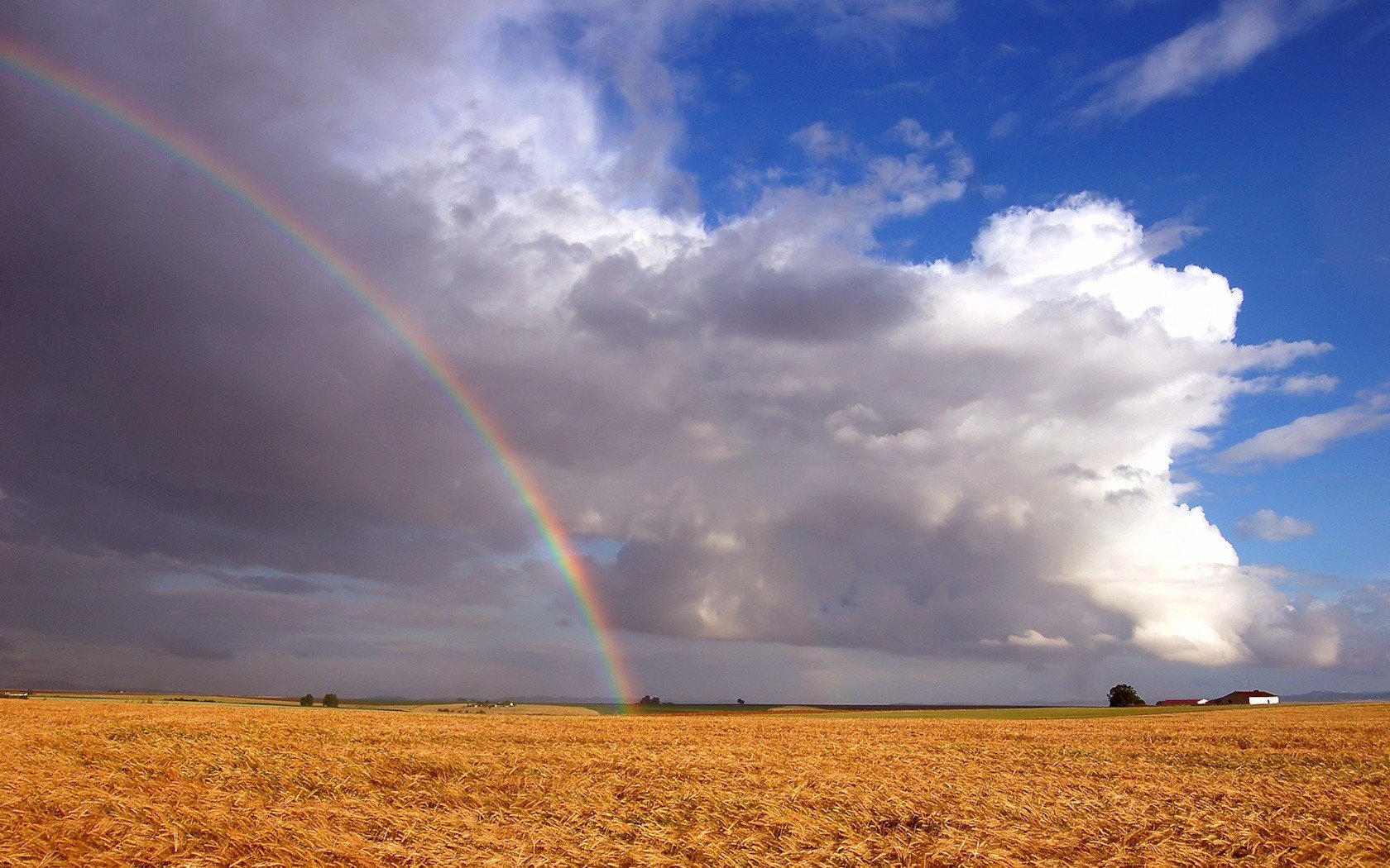 champ arc en ciel nuages