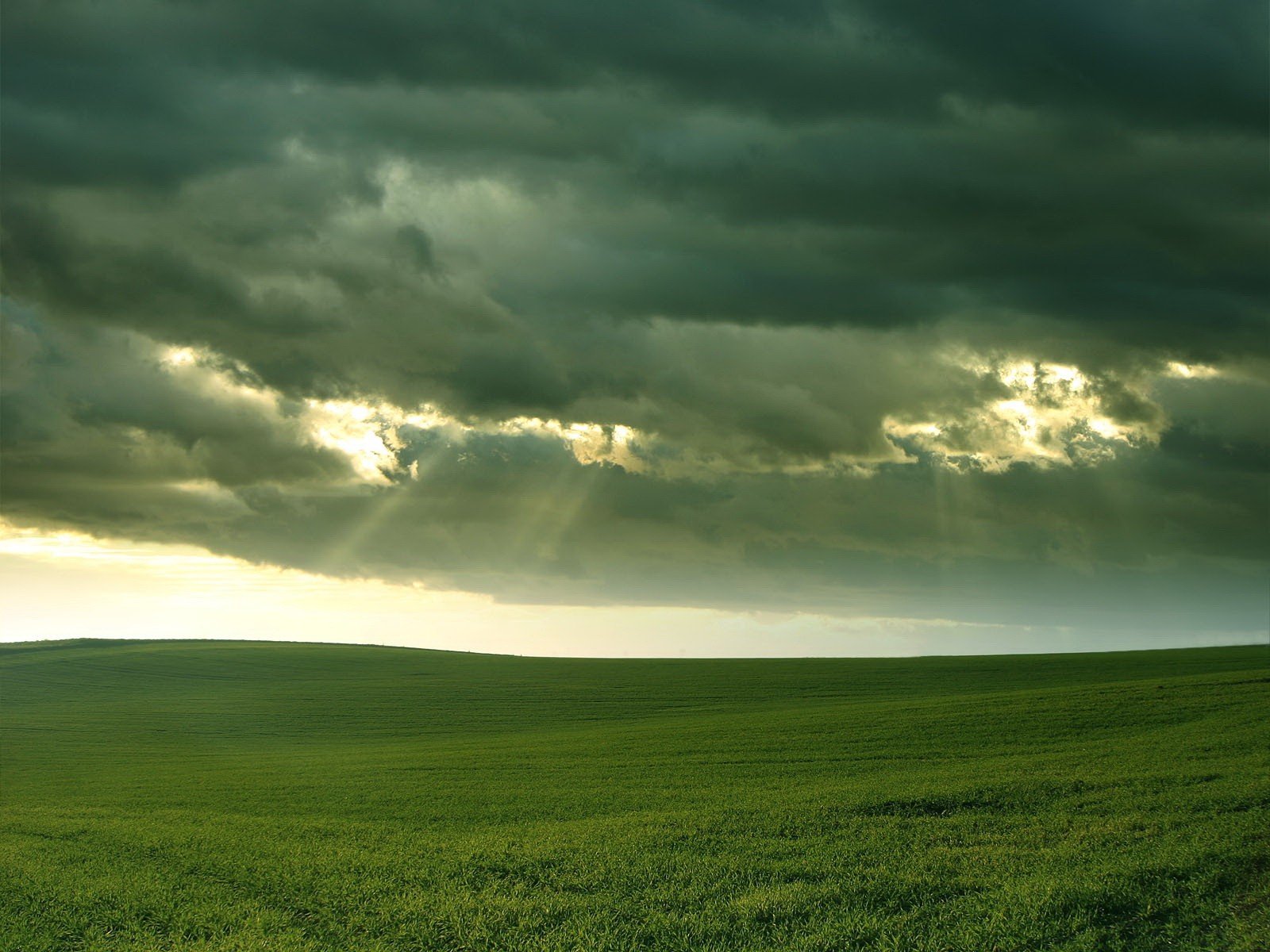 campo nubes luz hierba