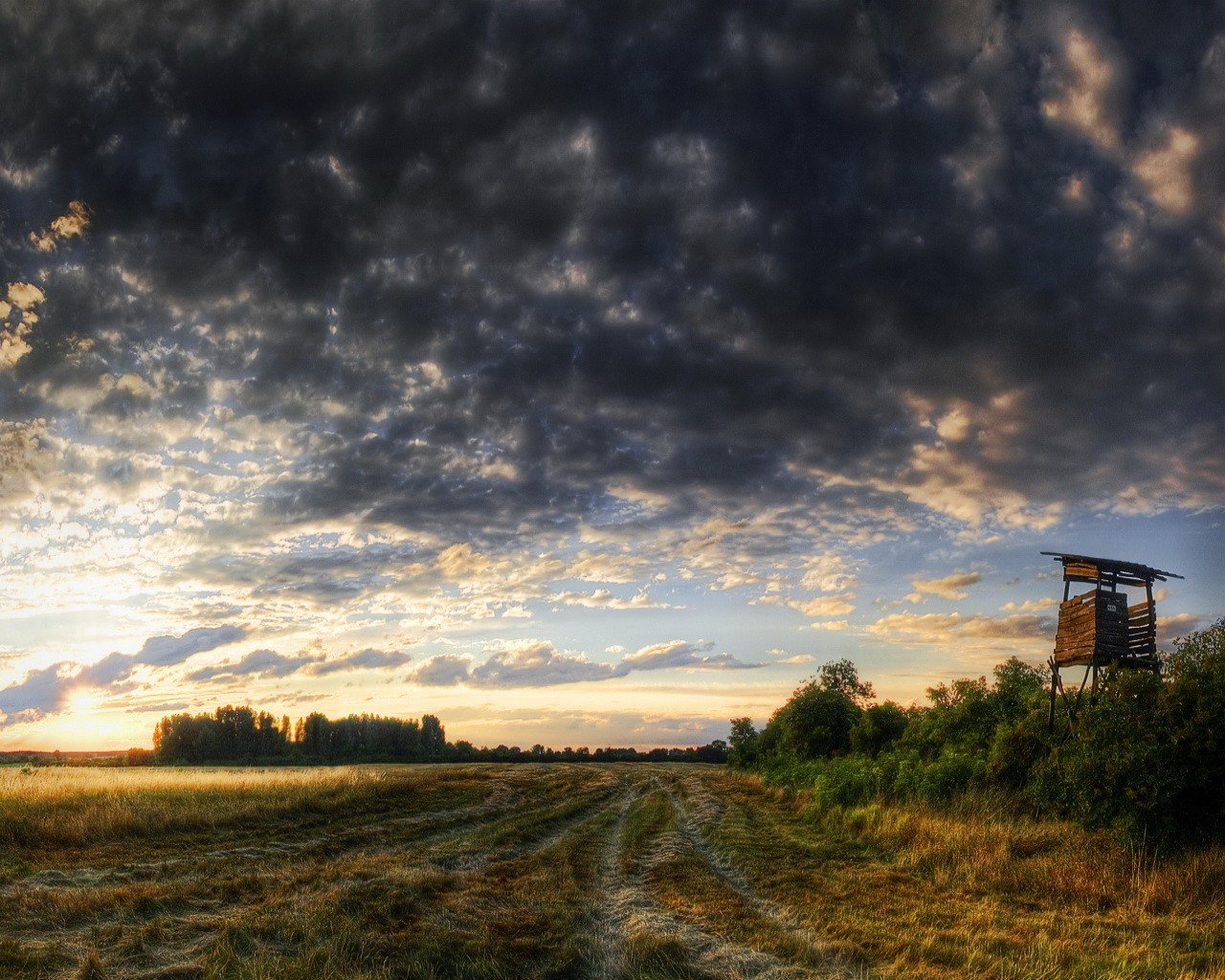 the field road clouds the tower