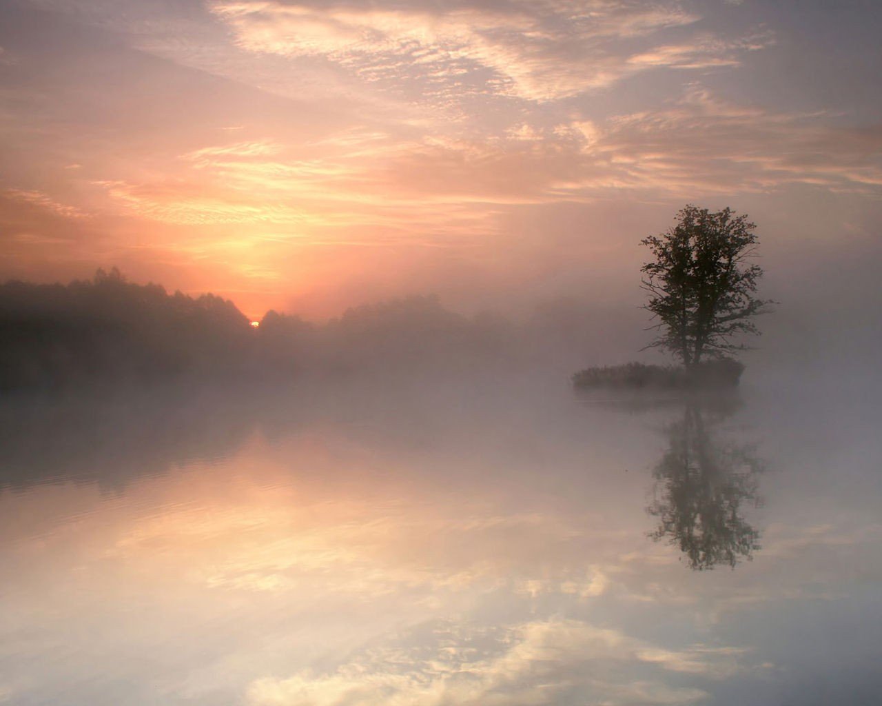 mañana reflexión lago niebla árbol