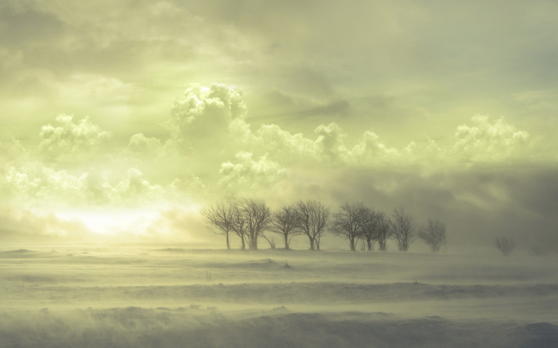 árboles nubes nieve