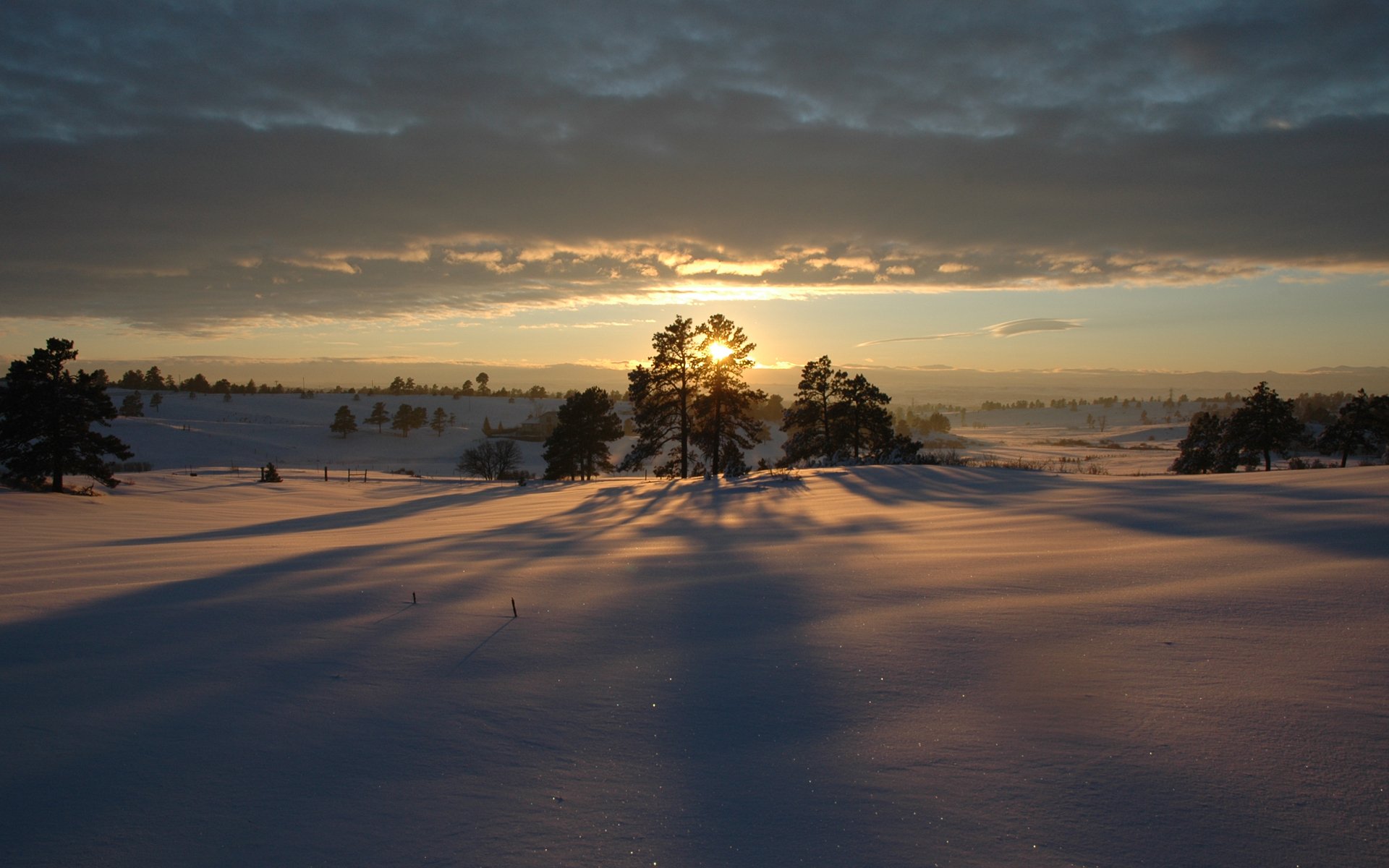 winter sonnenuntergang schnee bäume