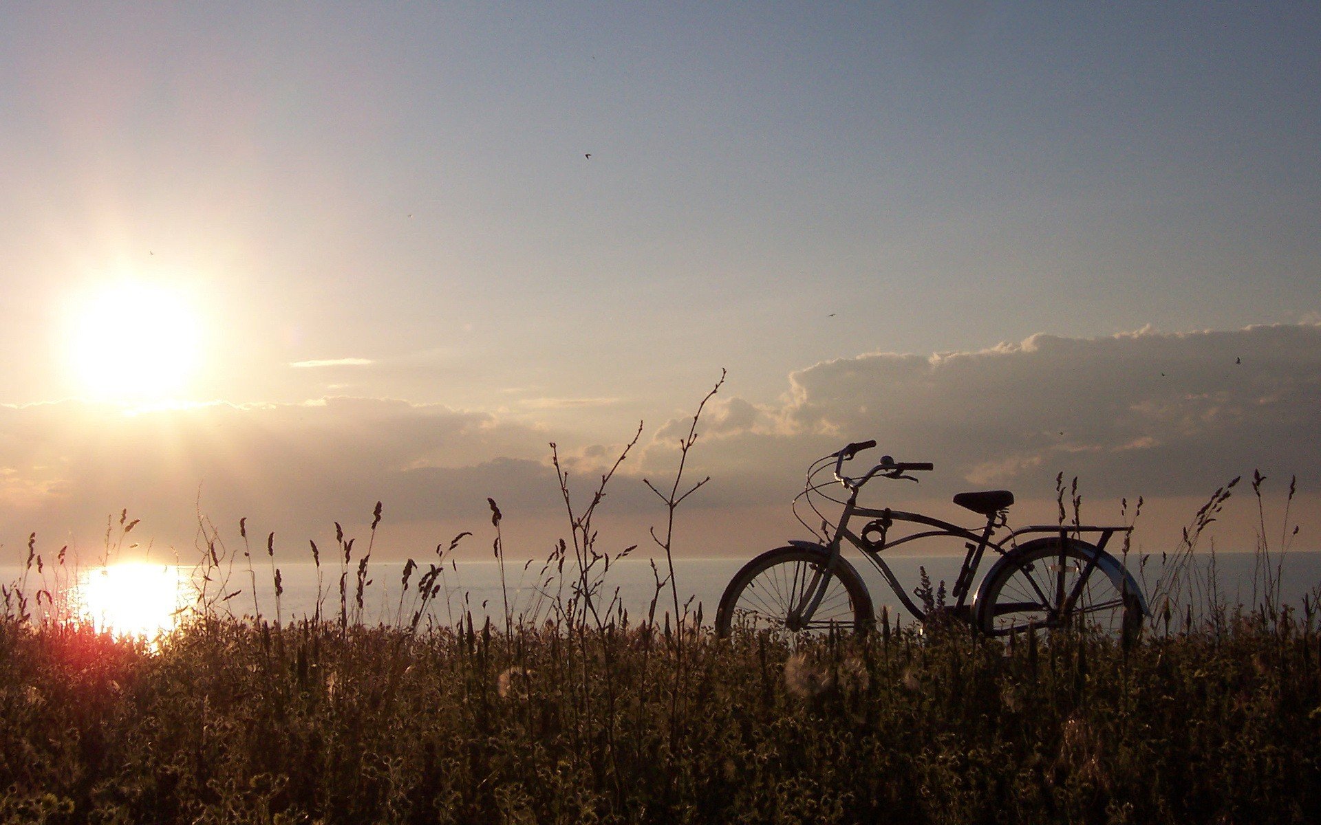 vélo soleil herbe