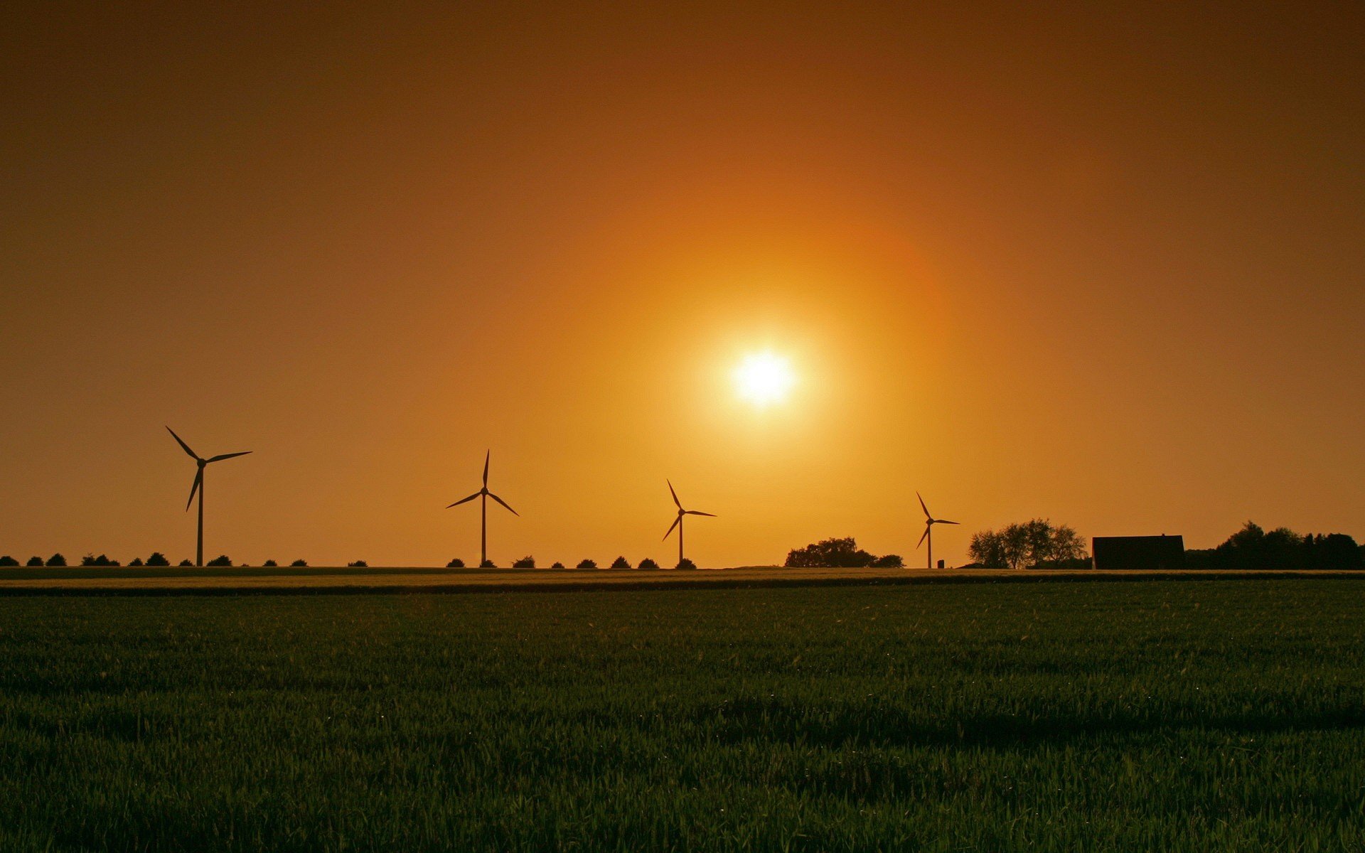 feld windmühle sonne