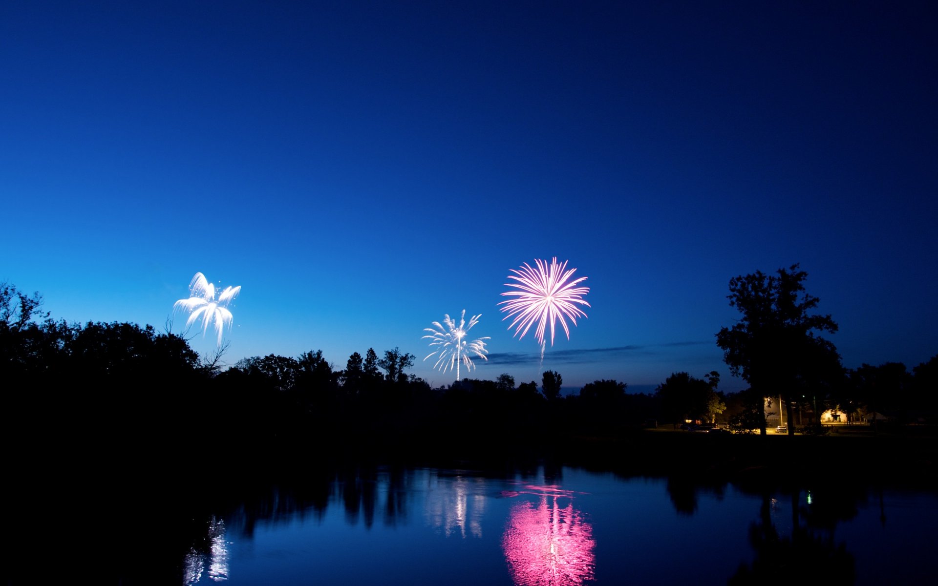 blue night firework