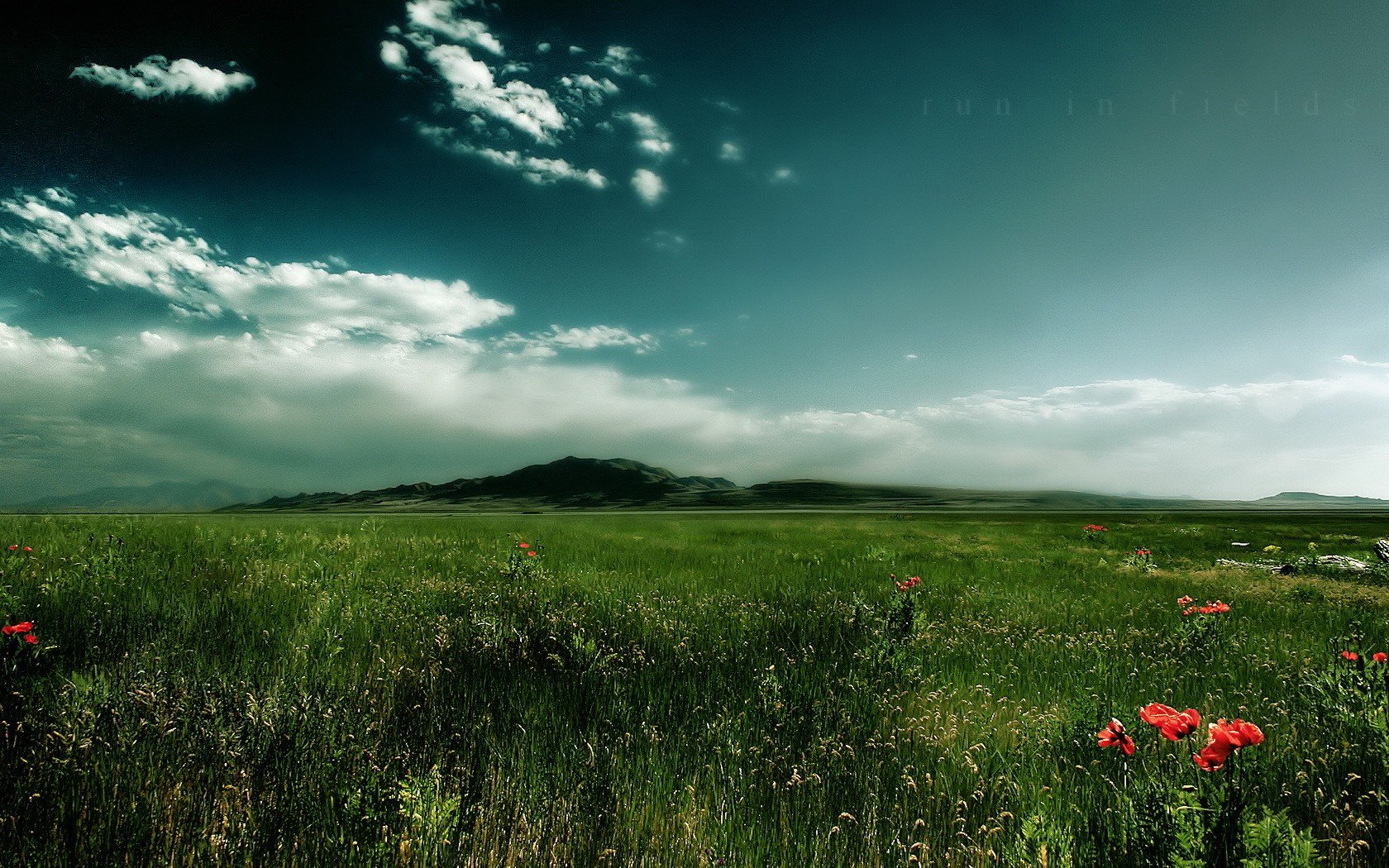 champ herbe nuages montagne