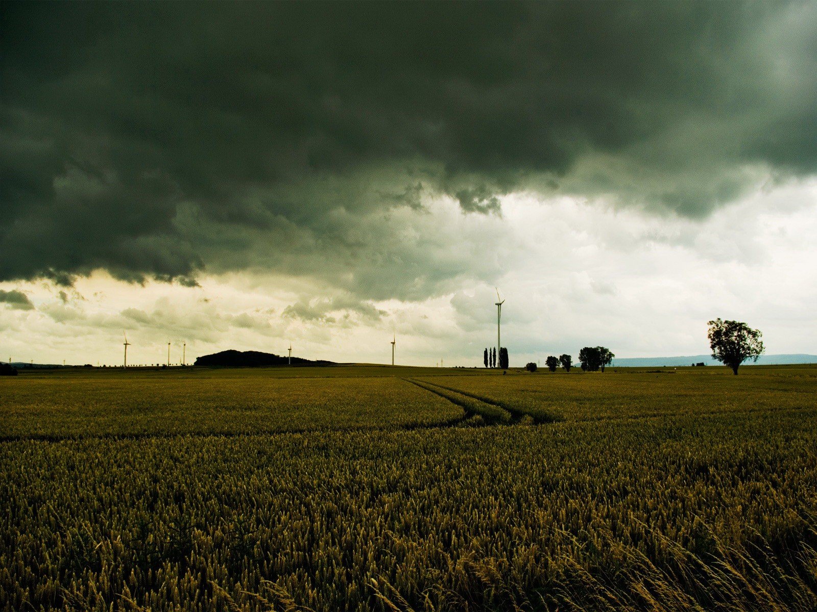 the field road a windmill