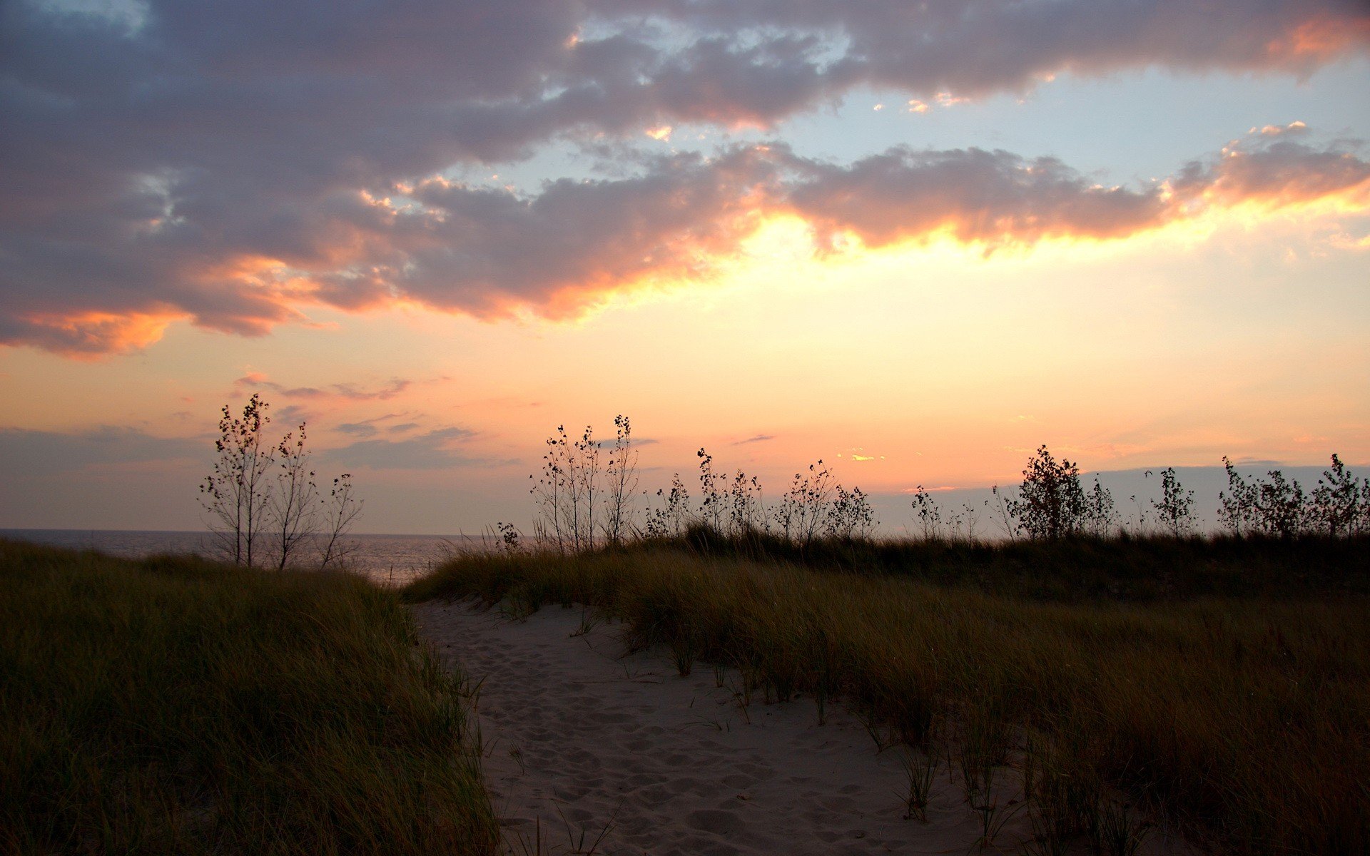 herbe sentier sable nuages rivage