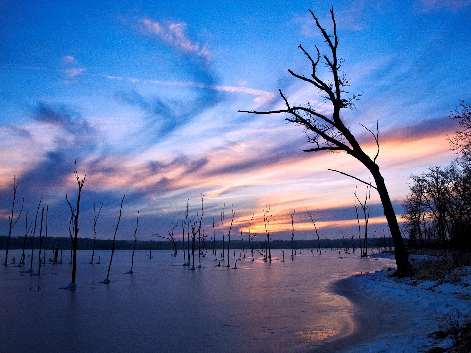 alberi sera lago ghiaccio inverno