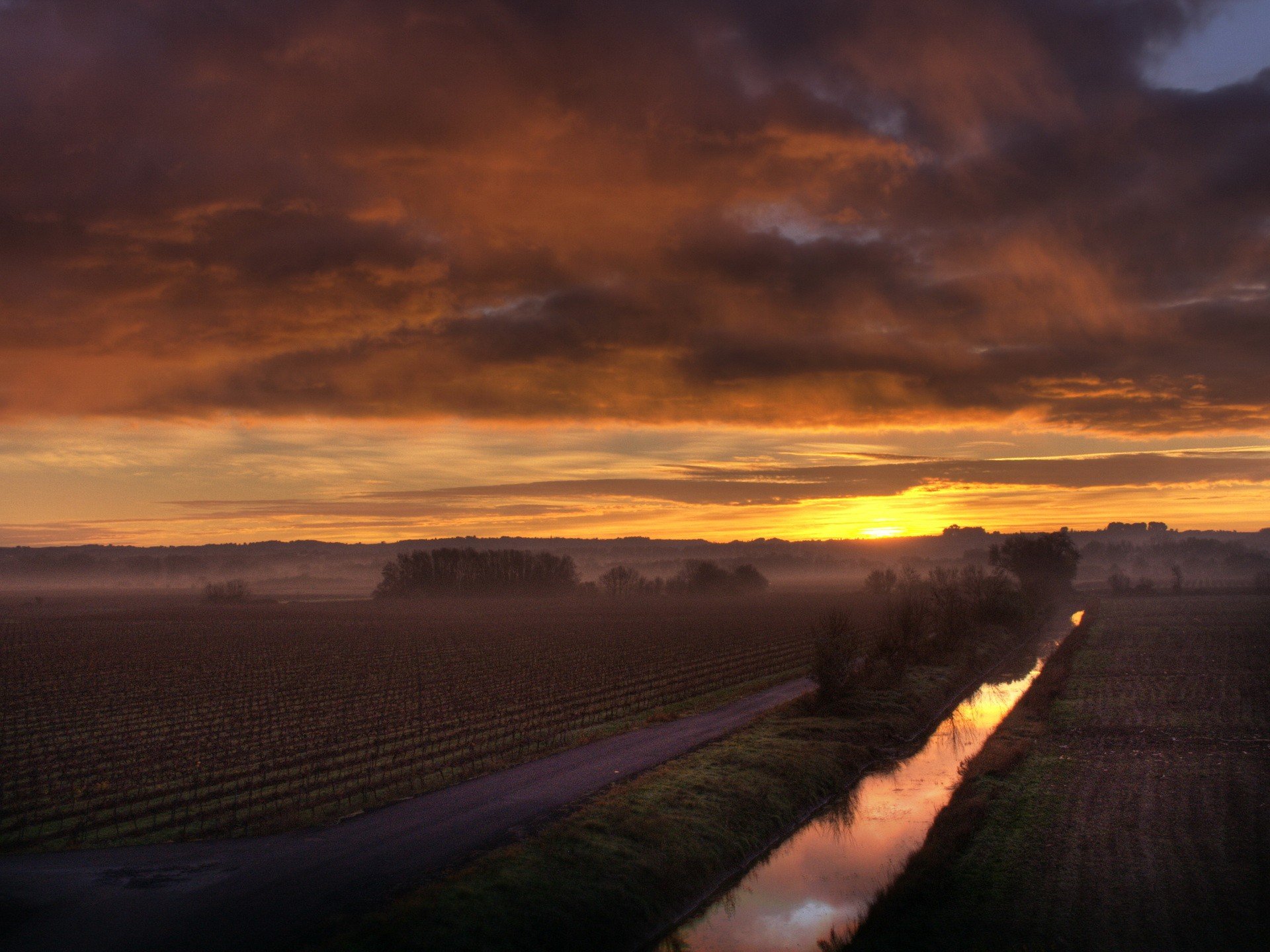 champ brouillard matin aube soleil canal