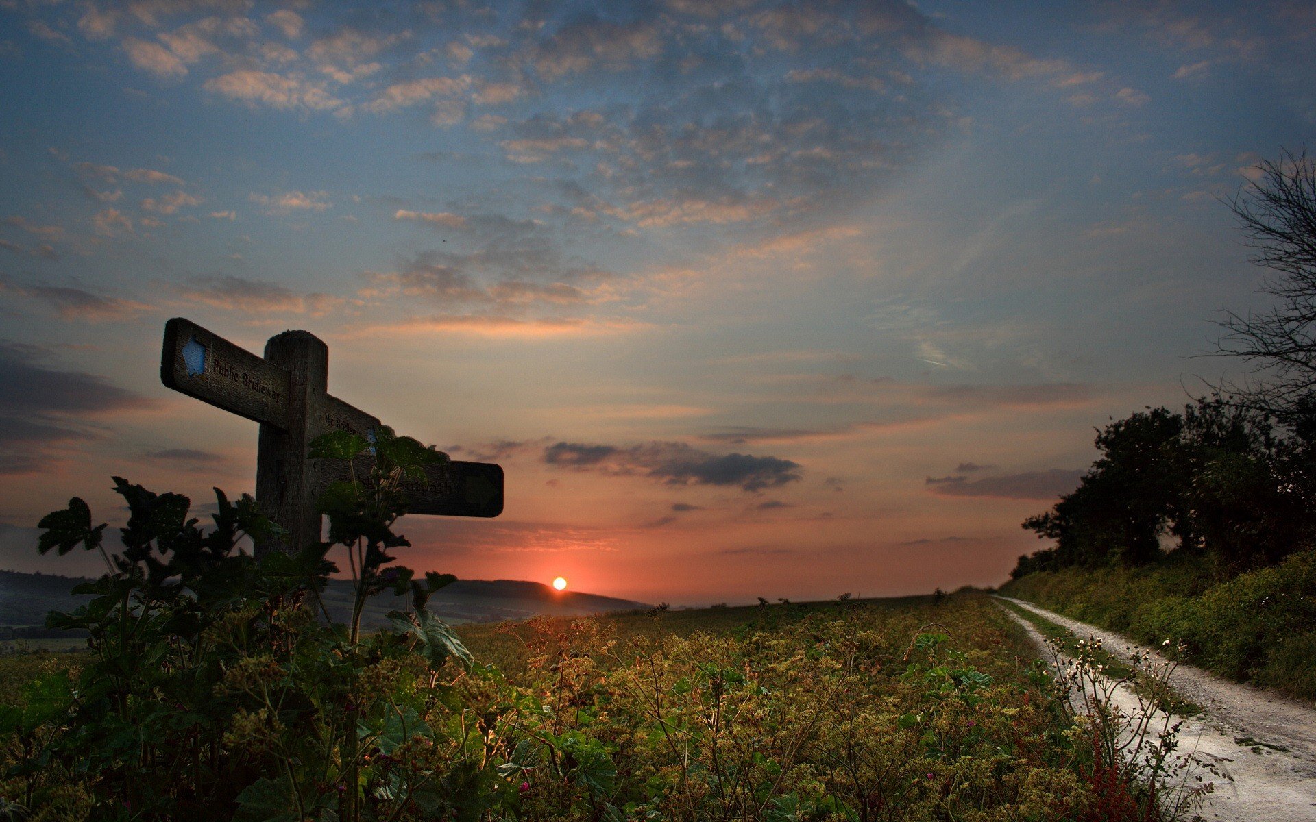 camino puntero sol