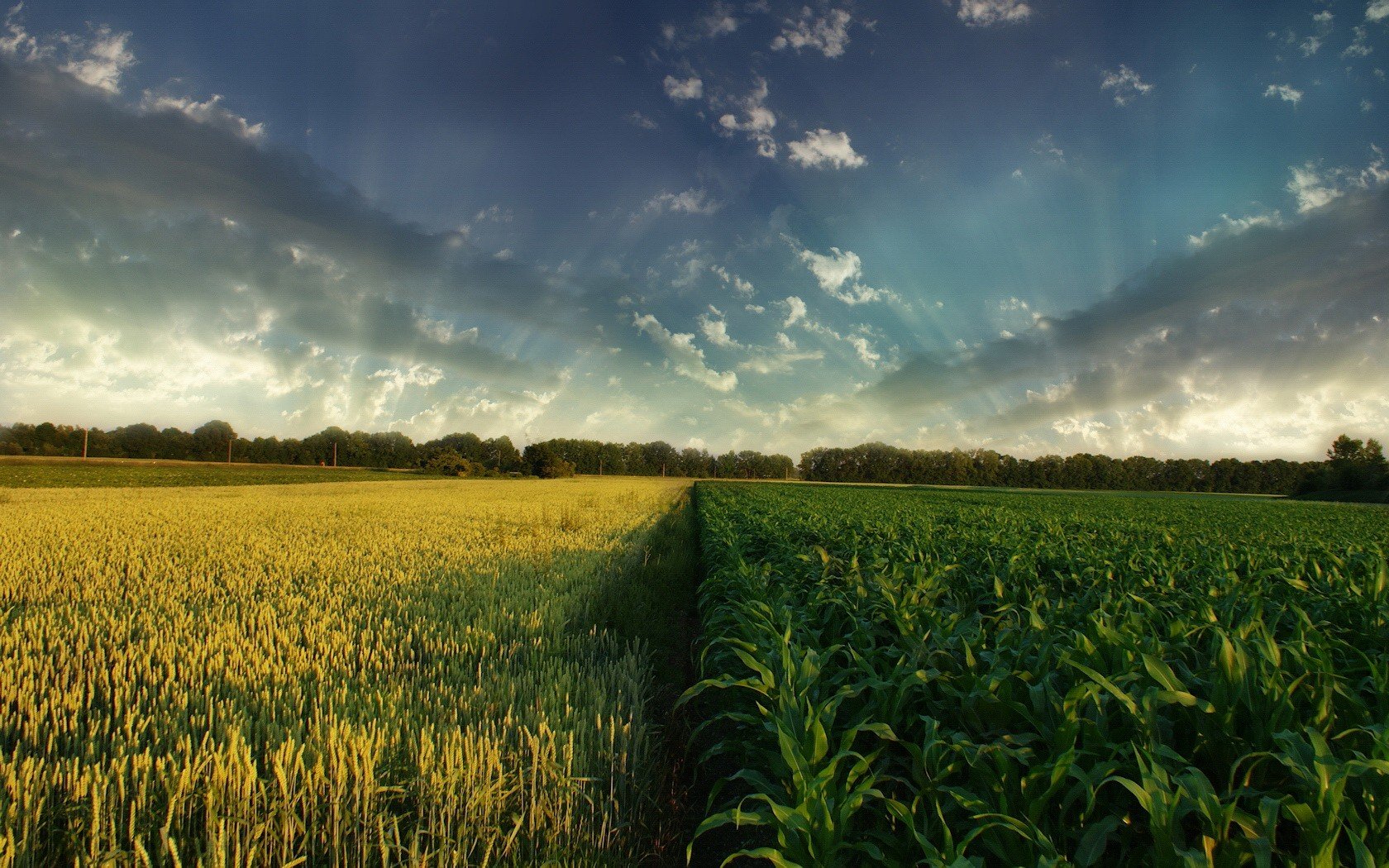 campo nuvole cielo