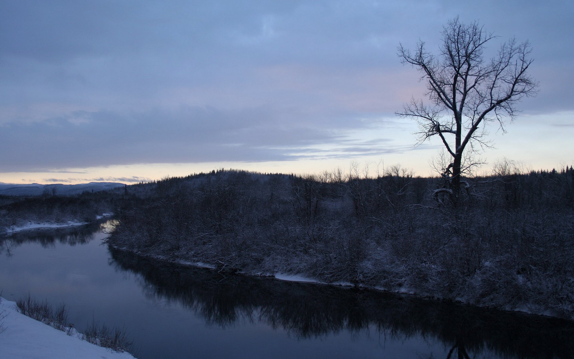 inverno fiume neve alberi