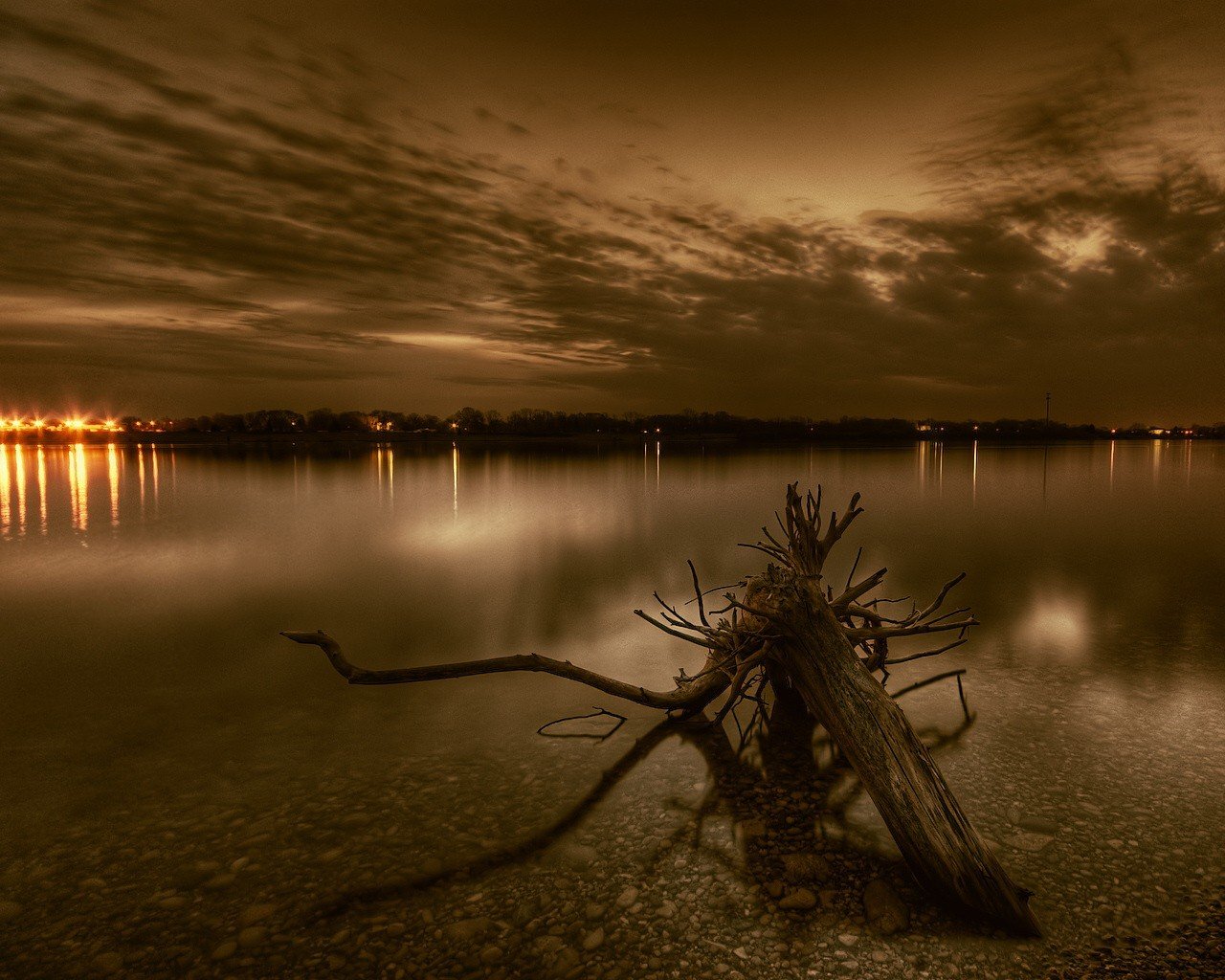 racine rivière soirée lumières