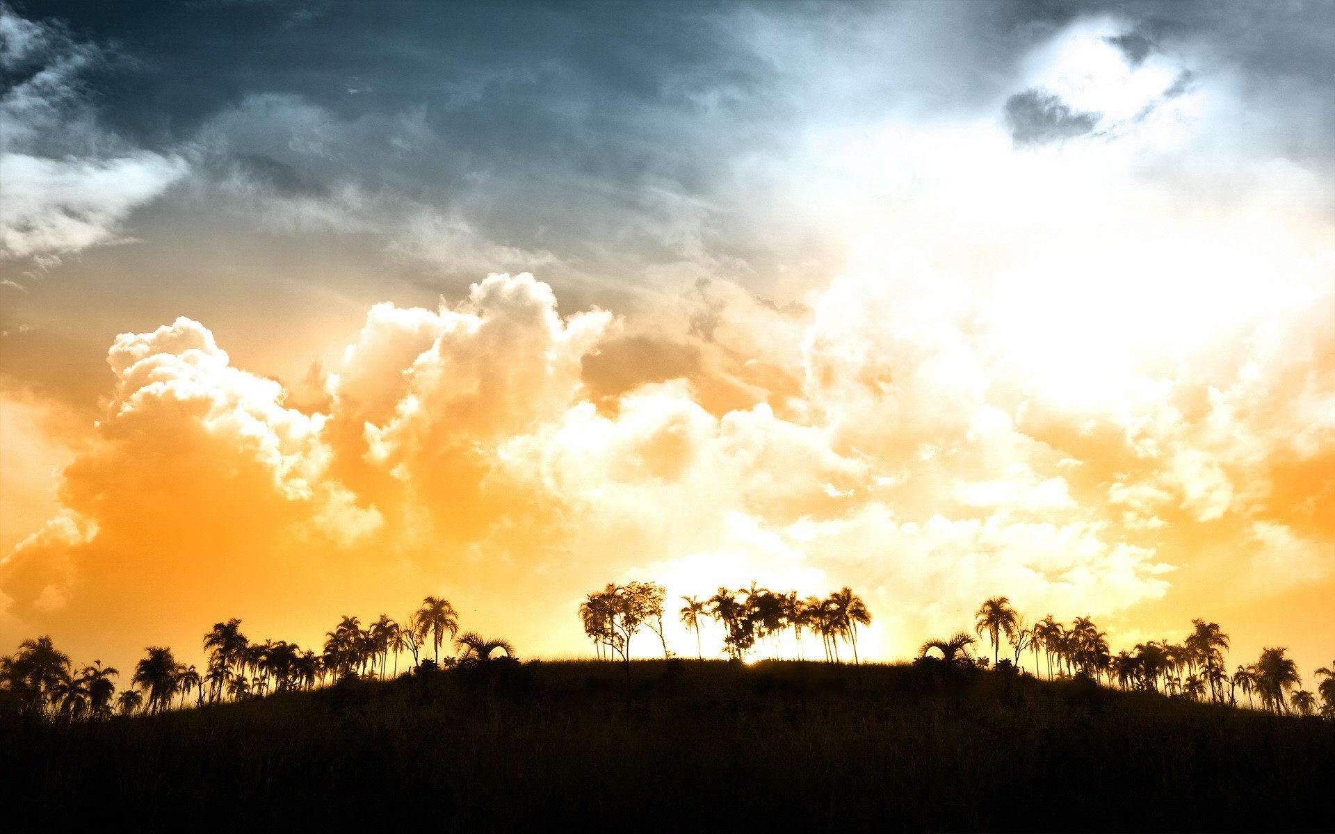 nuvole palme luce tramonto