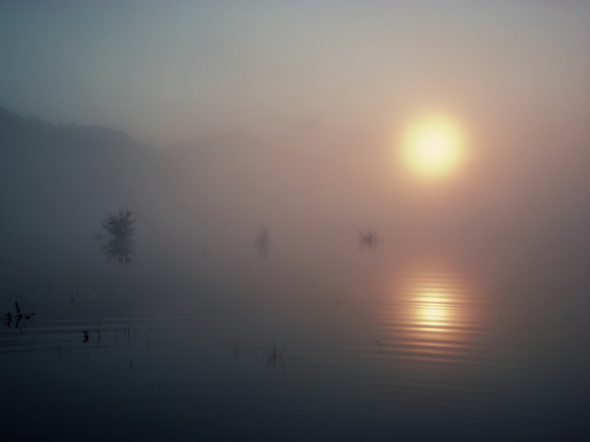 lago niebla sol