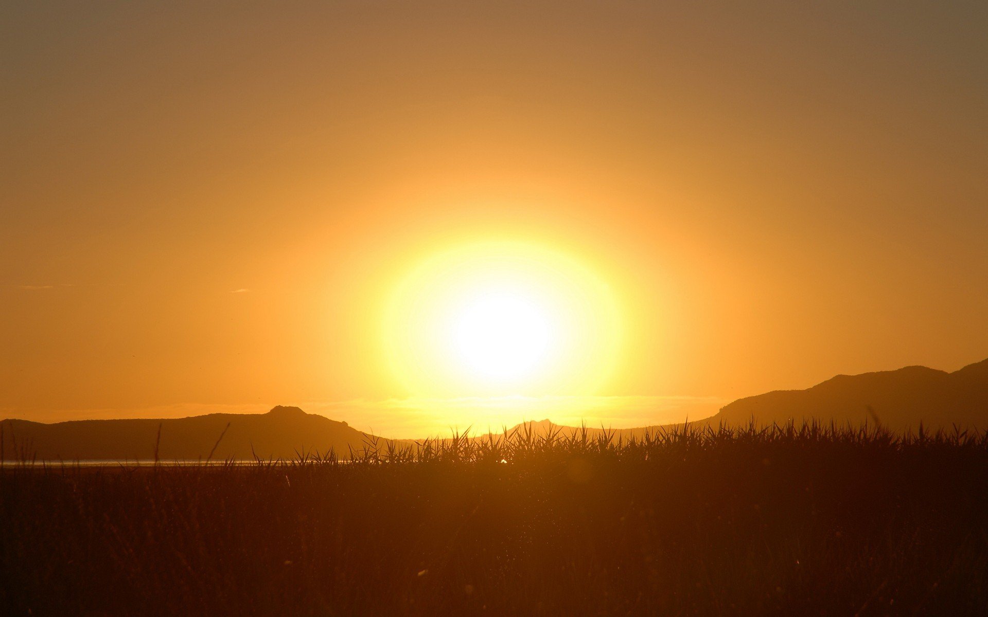 sole erba tramonto