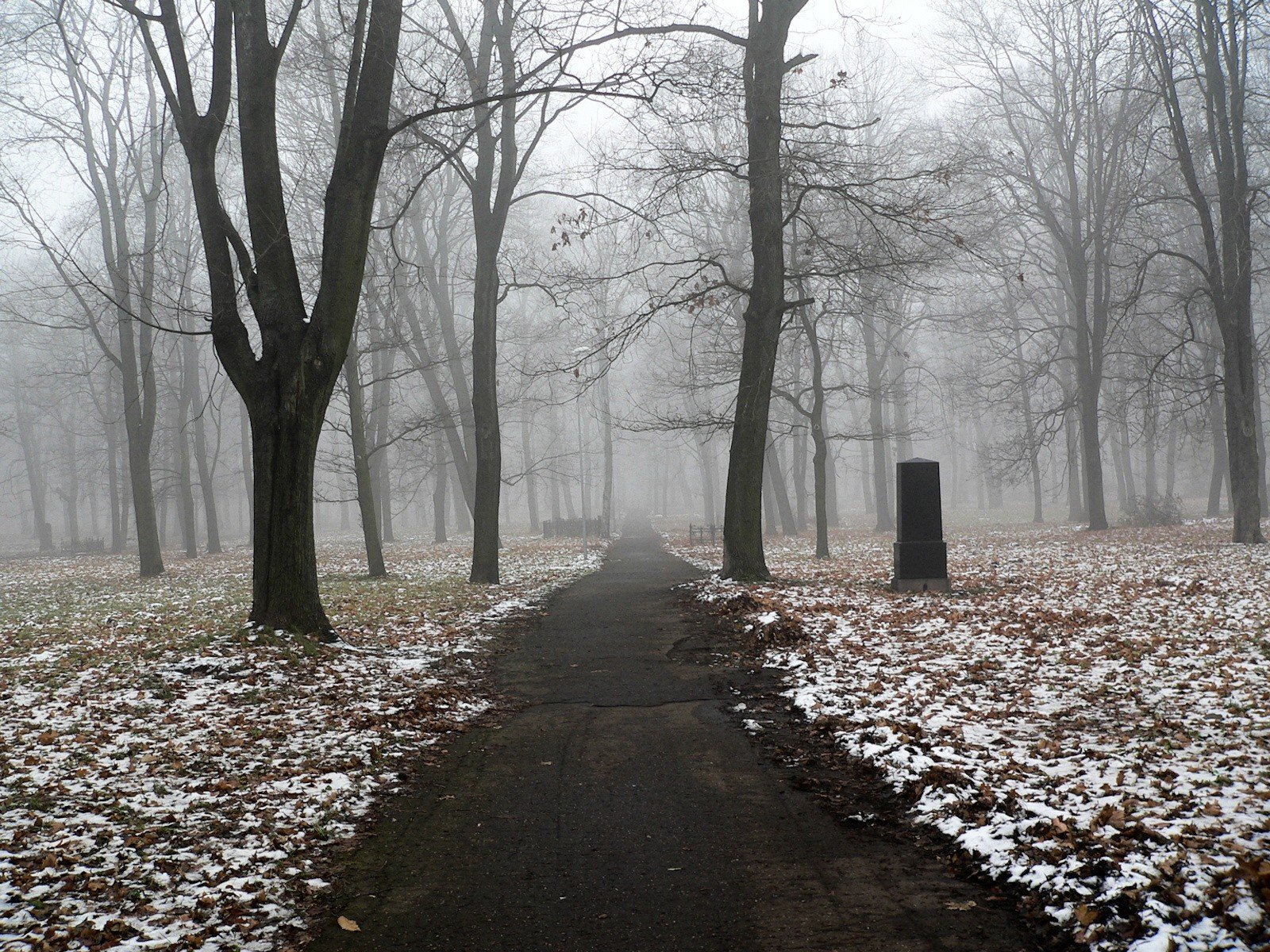 trail monument snow tree fog autumn