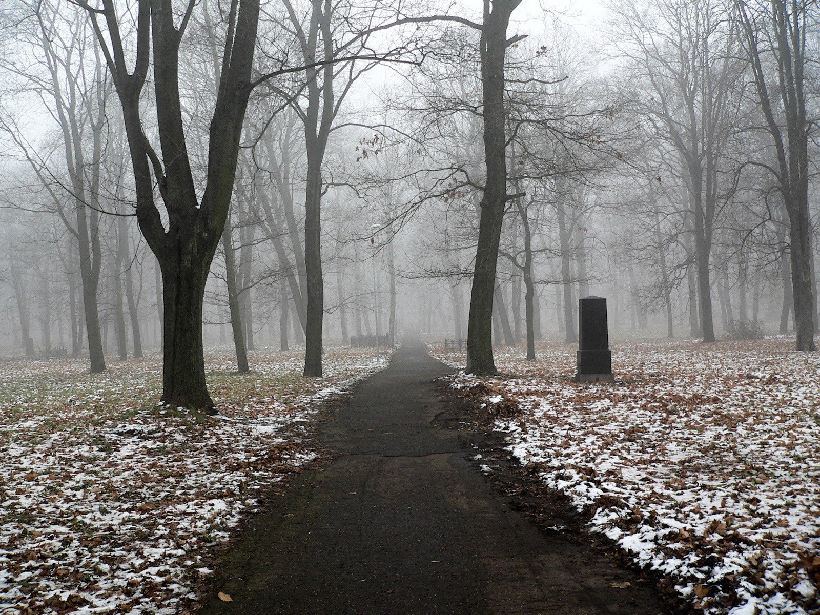 sentiero monumento neve alberi nebbia autunno