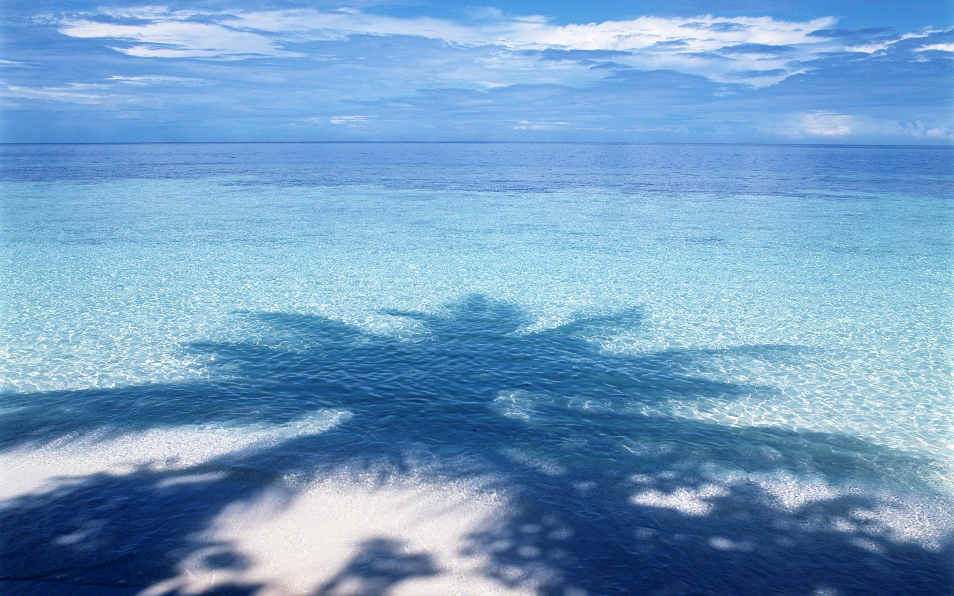 agua sombra azul palma horizonte