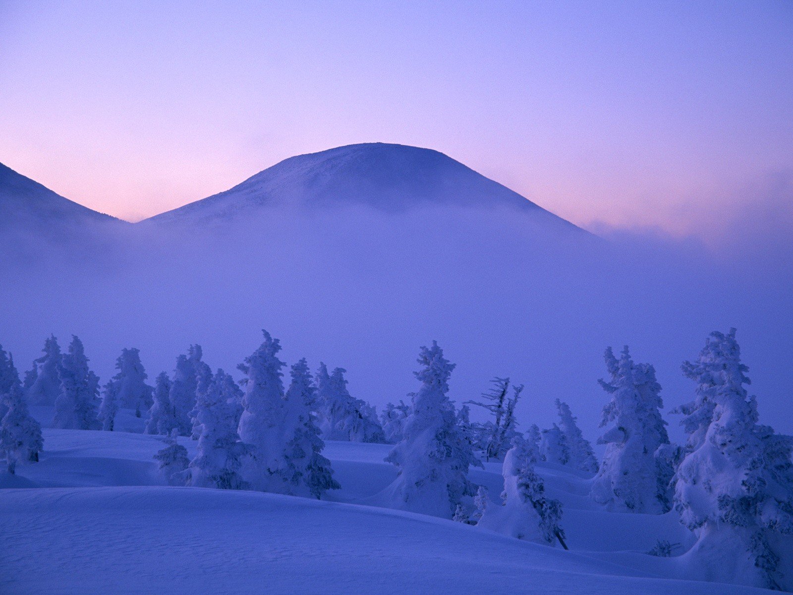 mountain clouds fog snow winter tree