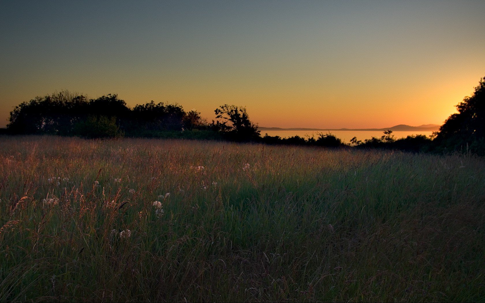 radura erba tramonto alberi