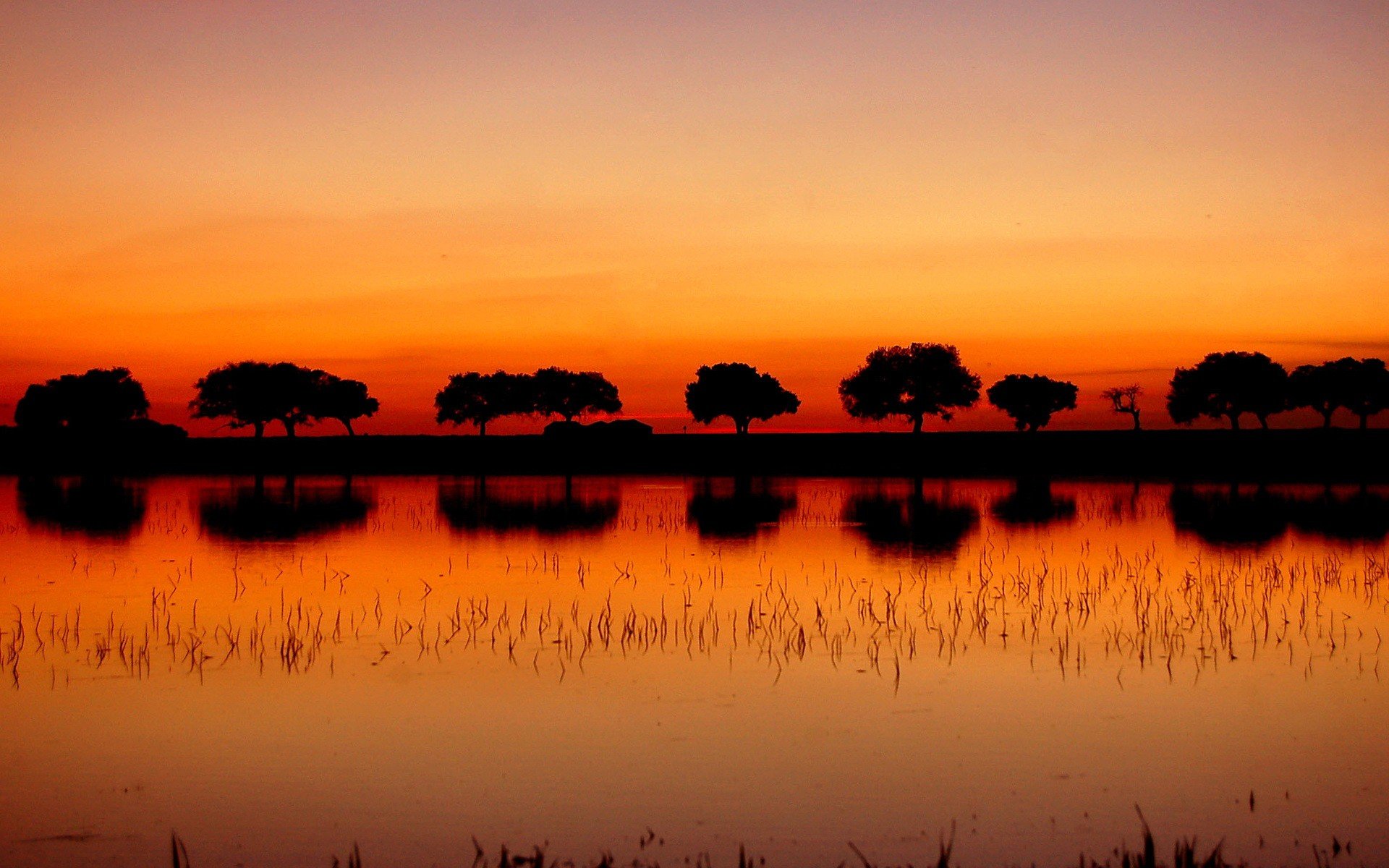 bäume sonnenuntergang see reflexion