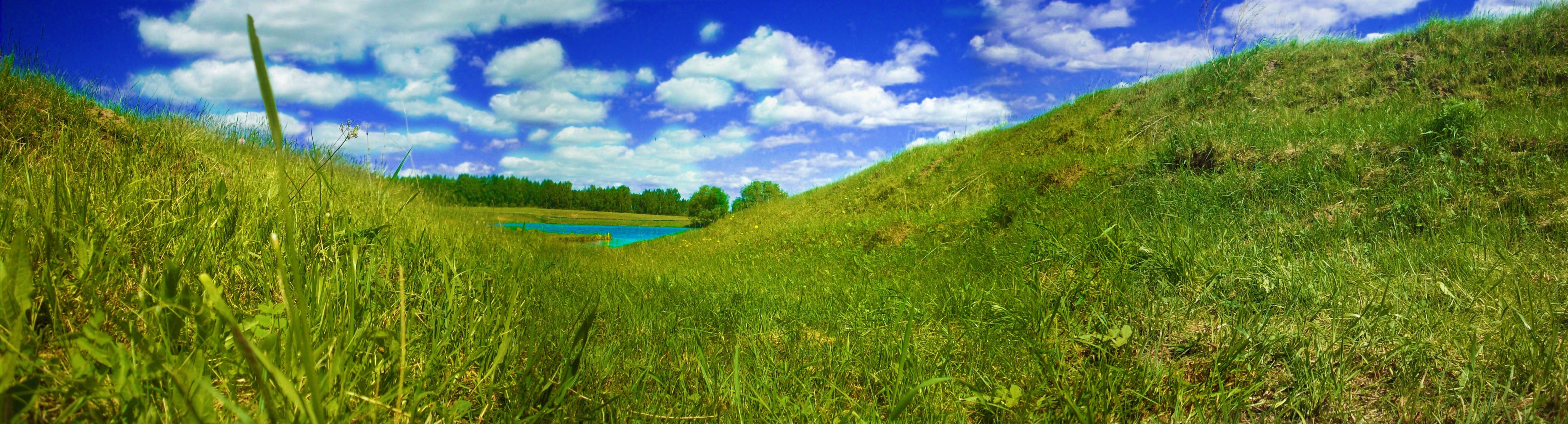 river sky grass butterfly birds summer panorama