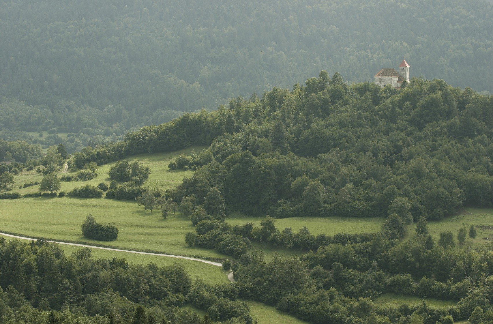 arbres château route