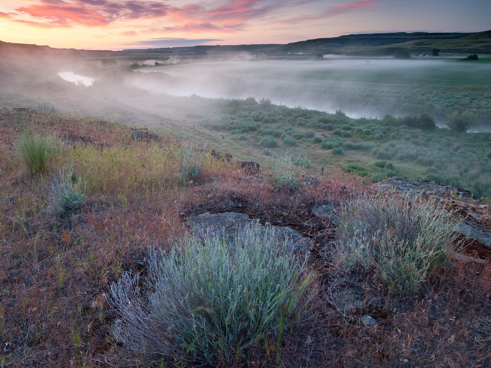 morning fog river the field gra