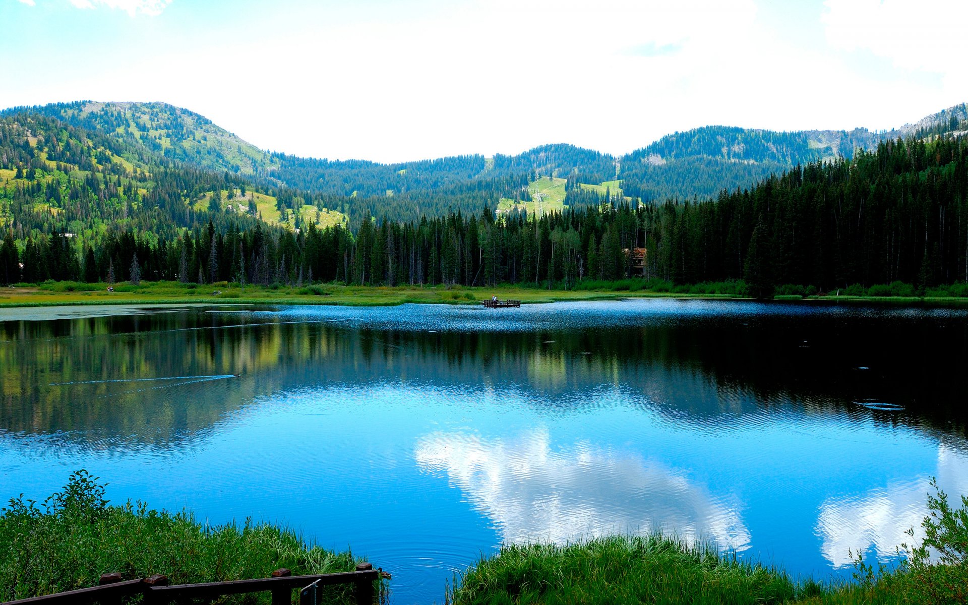 lago montañas bosque