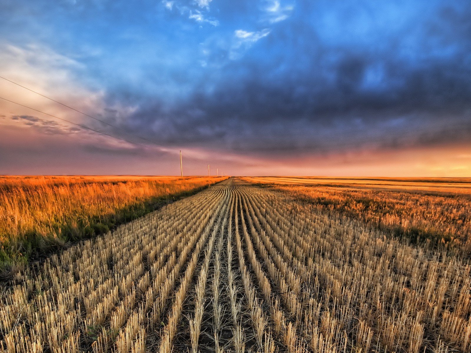 the field clouds horizon