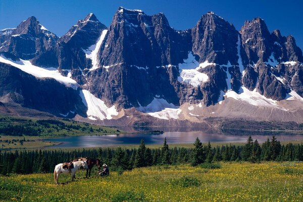 Canadian meadows on the background of snow-capped mountains