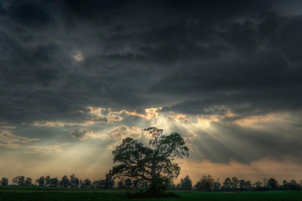 Sonnenlicht fällt durch die Wolken auf Bäume und Felder