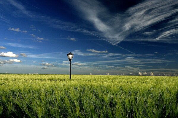 Formas inusuales de la nube en el campo